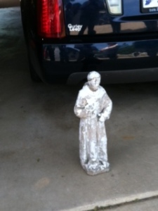 St Francis in the driveway